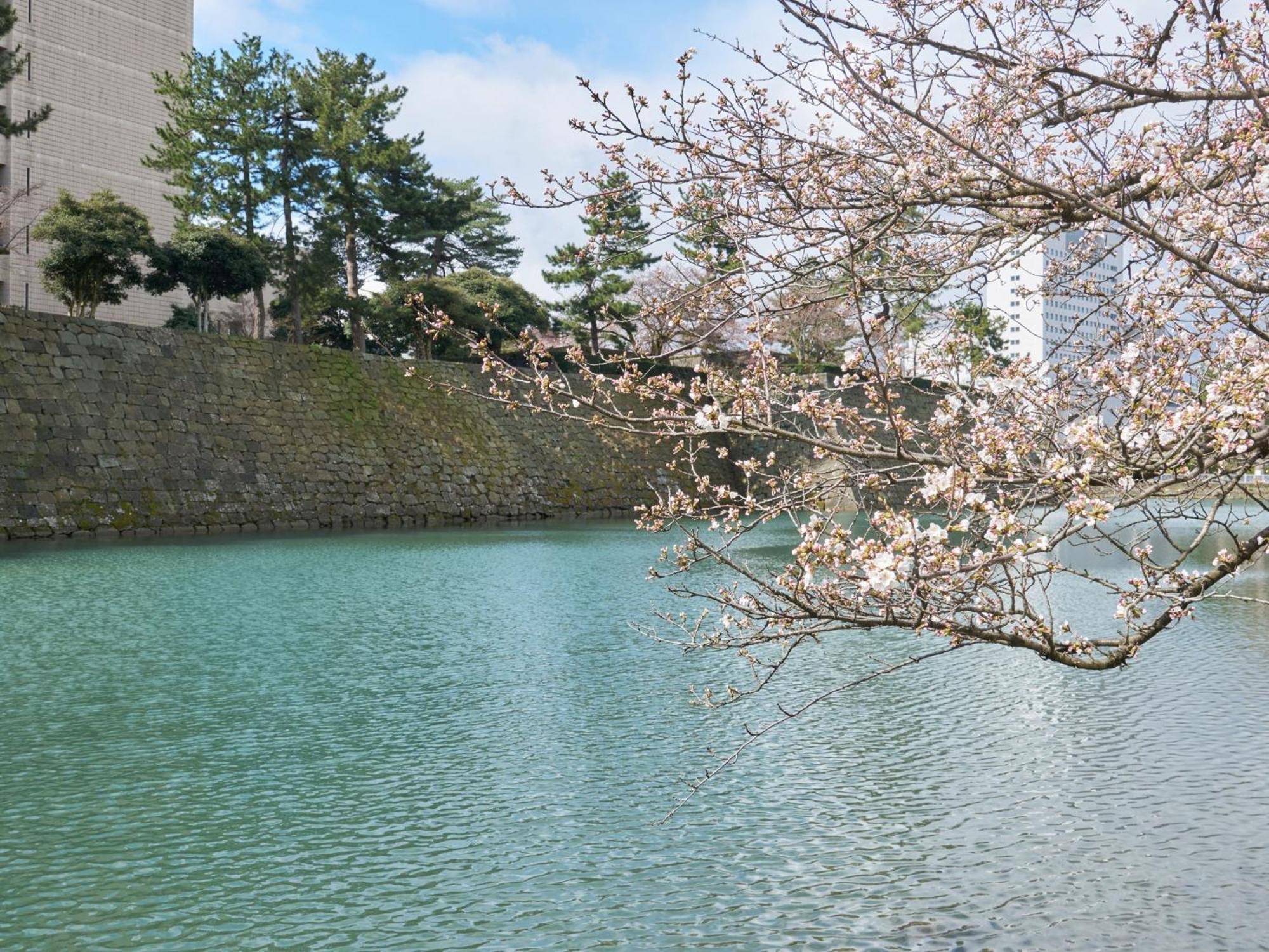 Hotel Fukui Castle - Vacation Stay 58696V Esterno foto